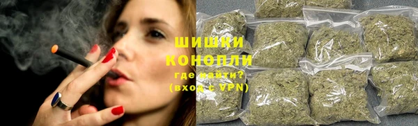 прущие грибы Нягань