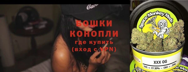 МДПВ Новозыбков