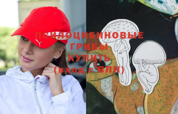 МДПВ Новозыбков