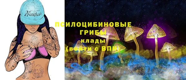 тгк Новокубанск